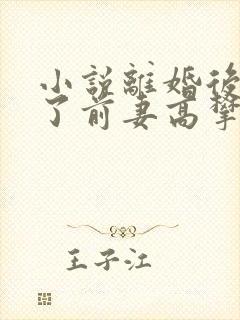 小说离婚后我成了前妻高攀不起的神