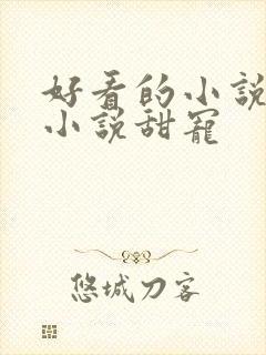 好看的小说短篇小说甜宠