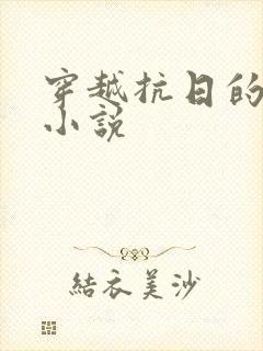 穿越抗日的完本小说