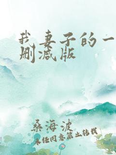 我妻子的一切未删减版
