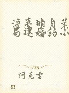 澹台明月叶凡开局退婚的小说