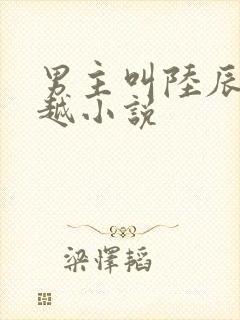 男主叫陆辰的穿越小说