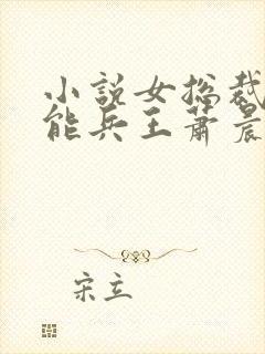 小说女总裁的全能兵王萧晨完结版