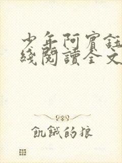 少年阿宾钰慧在线阅读全文小说