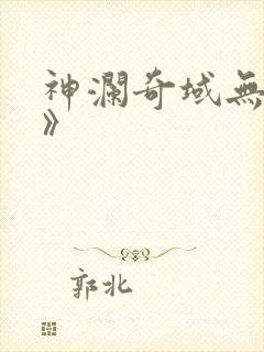 神澜奇域无双珠》