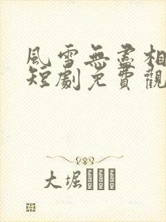 风雪无尽相思情短剧免费观看完整版