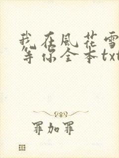 我在风花雪月里等你全本txt下载