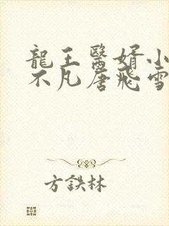 龙王医婿小说叶不凡唐飞雪