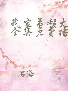 我家弟超大动漫全集免费播放