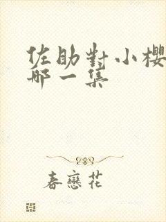 佐助对小樱告白哪一集