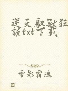 逆天驭兽狂妃小说txt下载