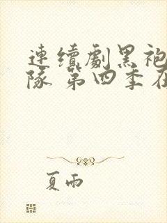 连续剧黑袍纠察队 第四季在线观看