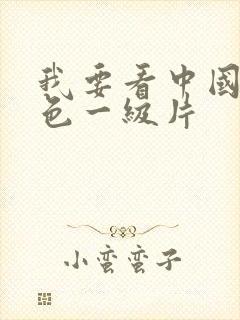 我要看中国的黄色一级片