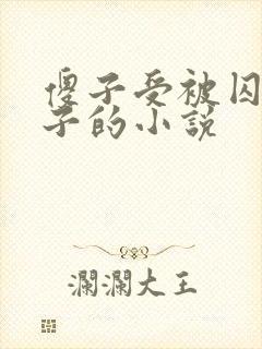 傻子受被囚禁生子的小说