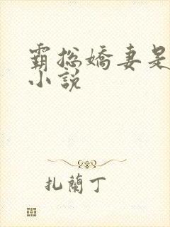 霸总娇妻是大佬小说