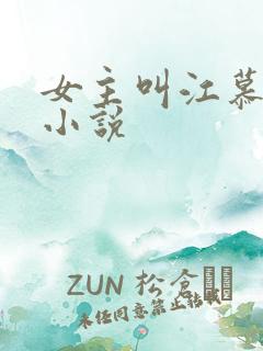 女主叫江慕雪的小说