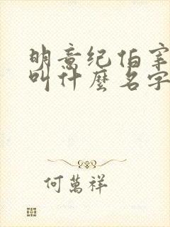 明意纪伯宰小说叫什么名字