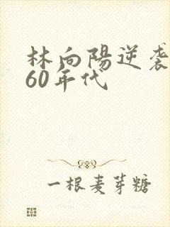 林向阳逆袭重生60年代