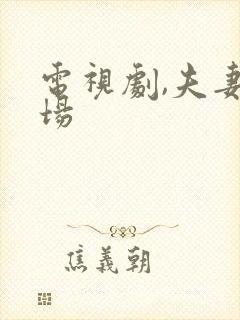 电视剧,夫妻一场