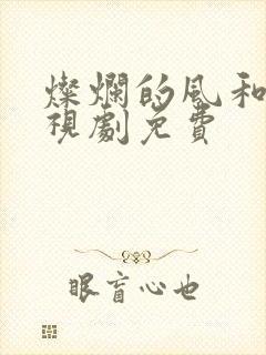 灿烂的风和海电视剧免费