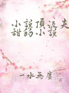 小说顶流夫妇超甜的小说