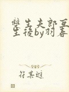 双生夫郎互换人生后by羽春免费阅读