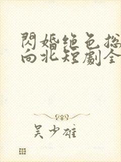 闪婚绝色总裁张向北短剧全集