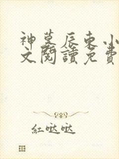 神墓辰东小说全文阅读免费