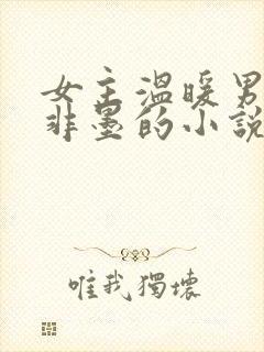 女主温暖男主叶非墨的小说