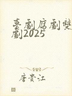 台剧腐剧双男主剧2025
