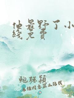 他最野了小说在线免费