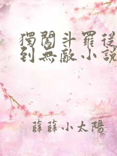 独闯斗罗从穿越到无敌小说免费阅读