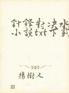 针锋对决水千丞小说txt下载