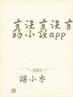 有没有没有广告的小说app