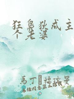 狂枭狄成主角几个老婆