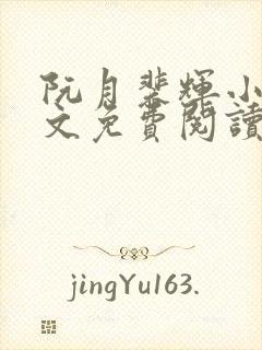 阮月裴辉小说全文免费阅读最新章节