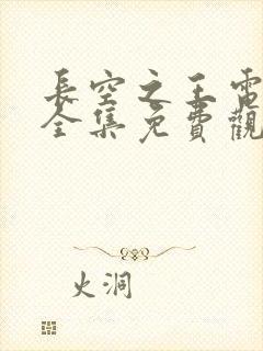 长空之王电视剧全集免费观看