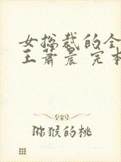 女总裁的全能兵王萧晨 完本