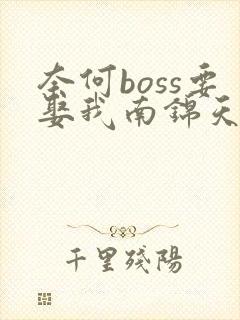 奈何boss要娶我南锦天