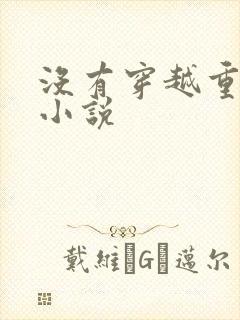 没有穿越重生的小说