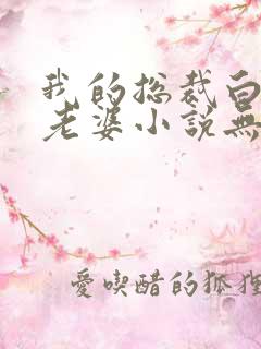 我的总裁白富美老婆小说无广告