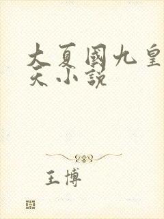 大夏国九皇子夏天小说