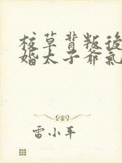 校草背叛后我闪婚太子爷气疯他苏念笙全文