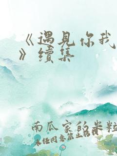 《遇见你我的爱》续集