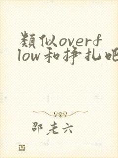 类似overflow和挣扎吧亚当君