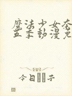 魔法少女奈叶第五季动漫免费