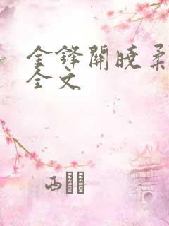 金锋关晓柔小说全文