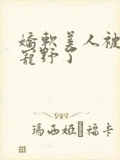 娇软美人被糙汉宠野了