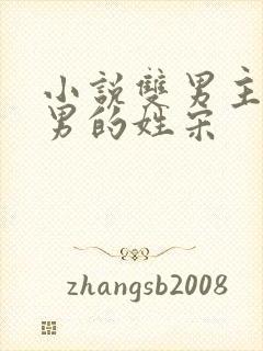 小说双男主一个男的姓宋