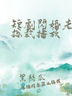 短剧闪婚老公是总裁播放